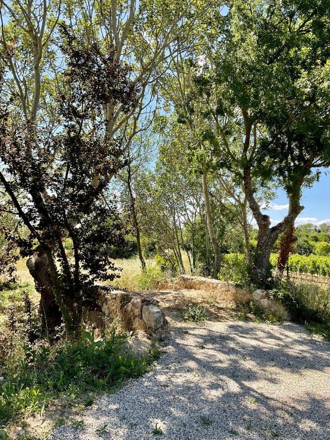 La Soleillade Aixoise Panzió Aix-en-Provence Kültér fotó